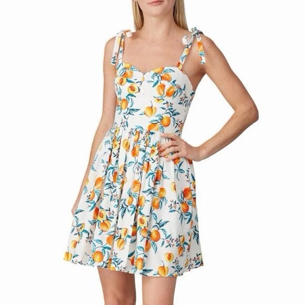 Amanda Uprichard Harmony Floral Sundress Womens M White Peach Sweetheart Lined